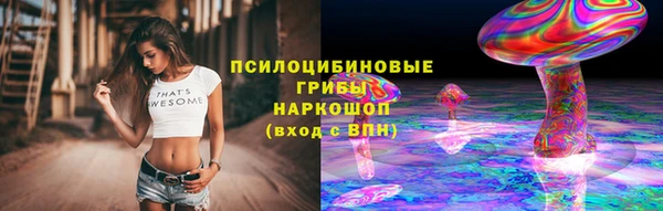 стаф Алзамай