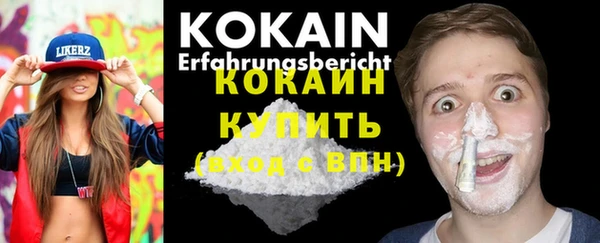 стаф Алзамай