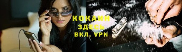 стаф Алзамай