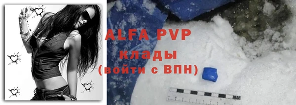 СК Алексеевка