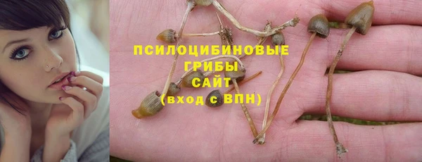 прущая мука Алексин
