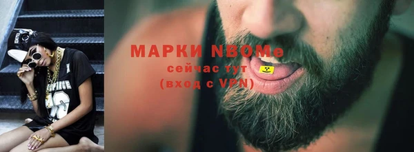 стаф Алзамай