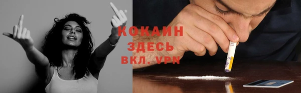 стаф Алзамай