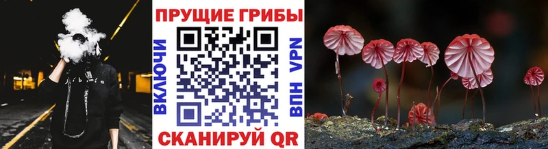 Галлюциногенные грибы ЛСД  кракен зеркало  Иннополис 